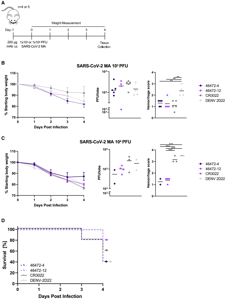 Figure 4