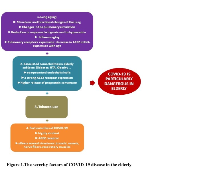 Figure1: The severity factors of COVID-19 disease in the elderly