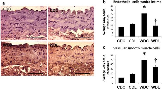 Fig. 6