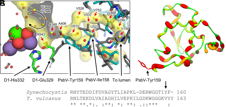 Fig. 6.