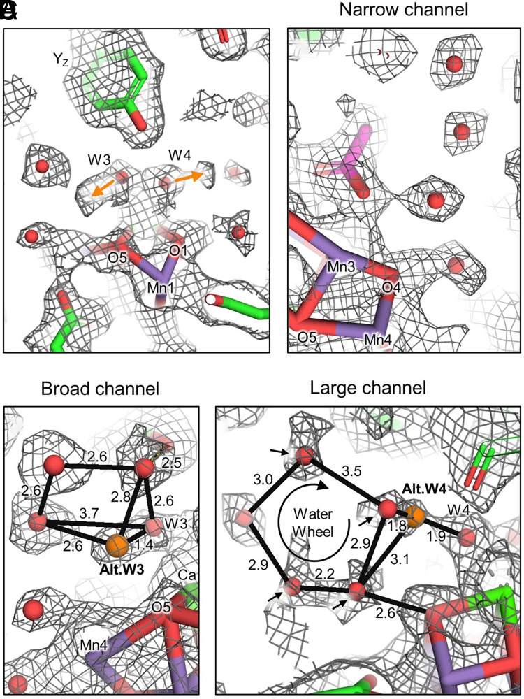 Fig. 4.