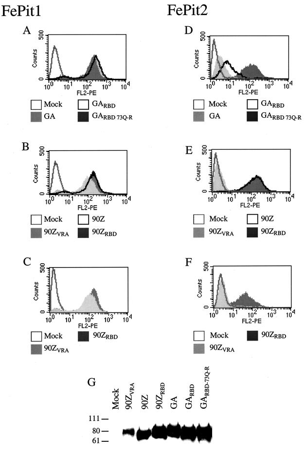 FIG. 3