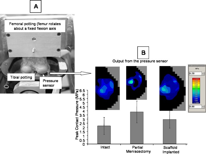 Fig. 1