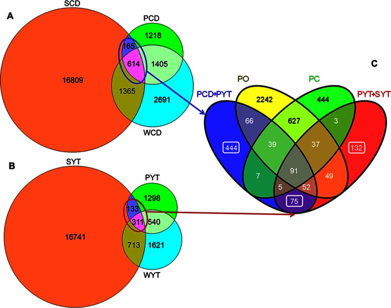 FIG 6