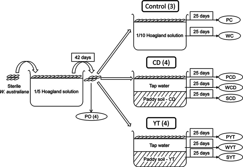 FIG 1