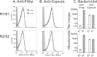 FIG 1