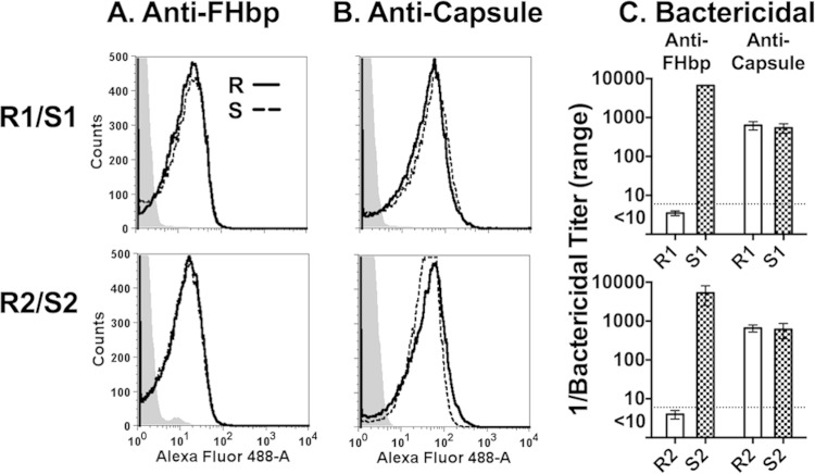 FIG 1