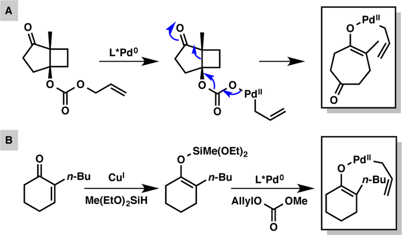 Scheme 10.