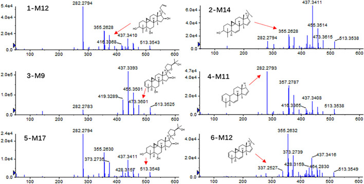 FIGURE 5