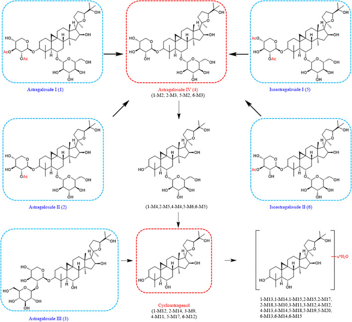 FIGURE 6