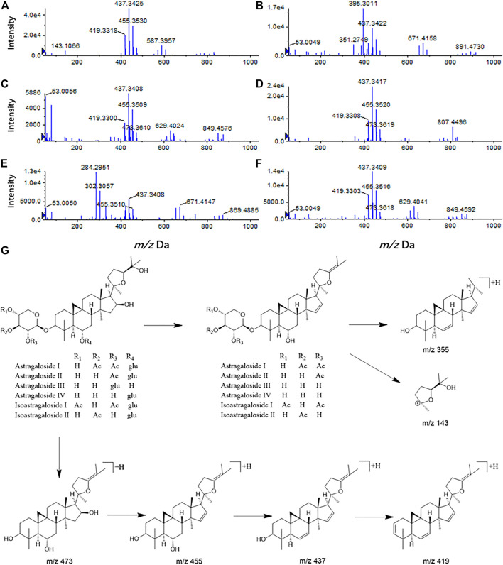 FIGURE 4