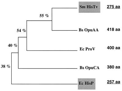 FIG. 5