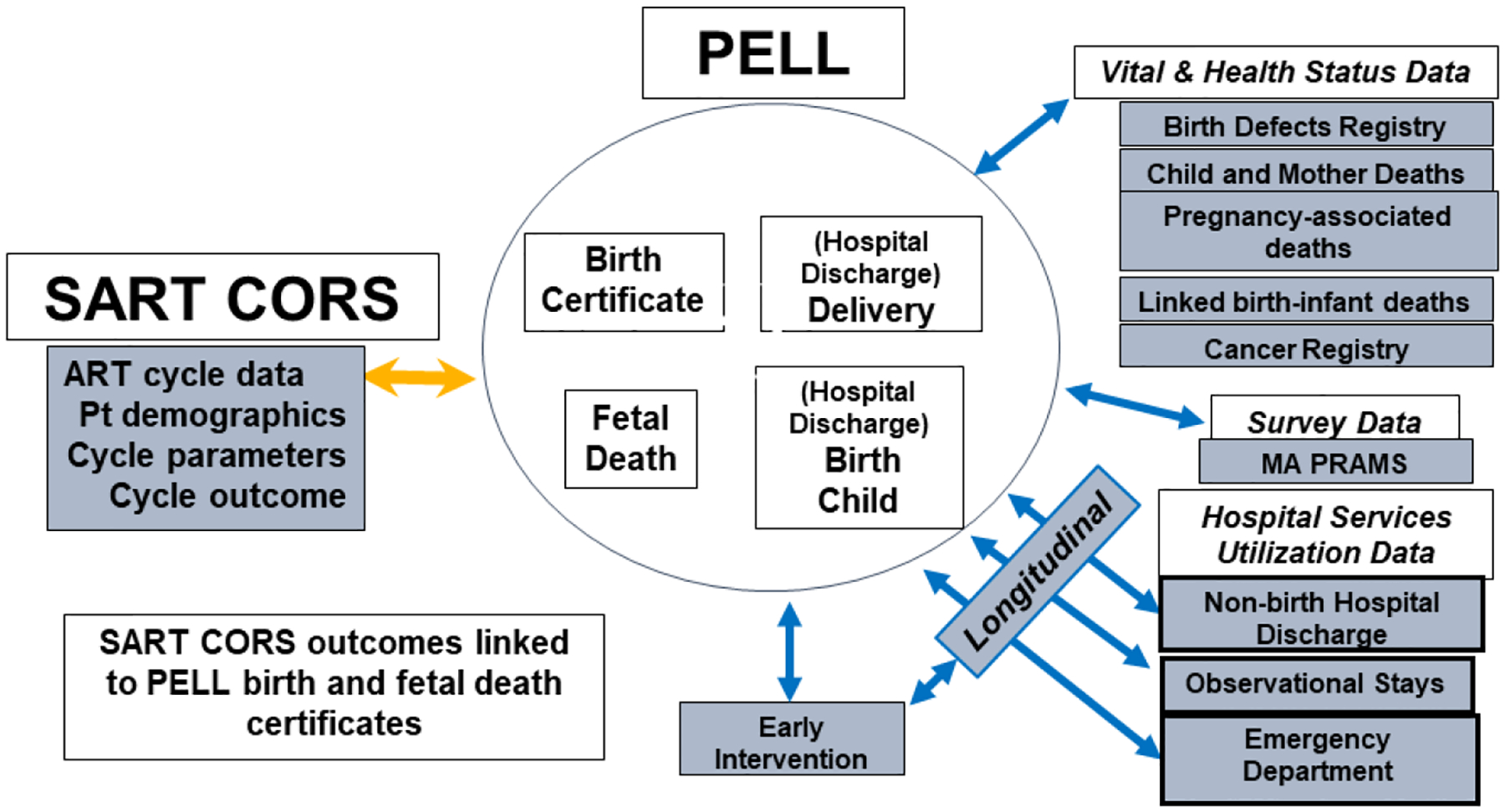 Figure 1: