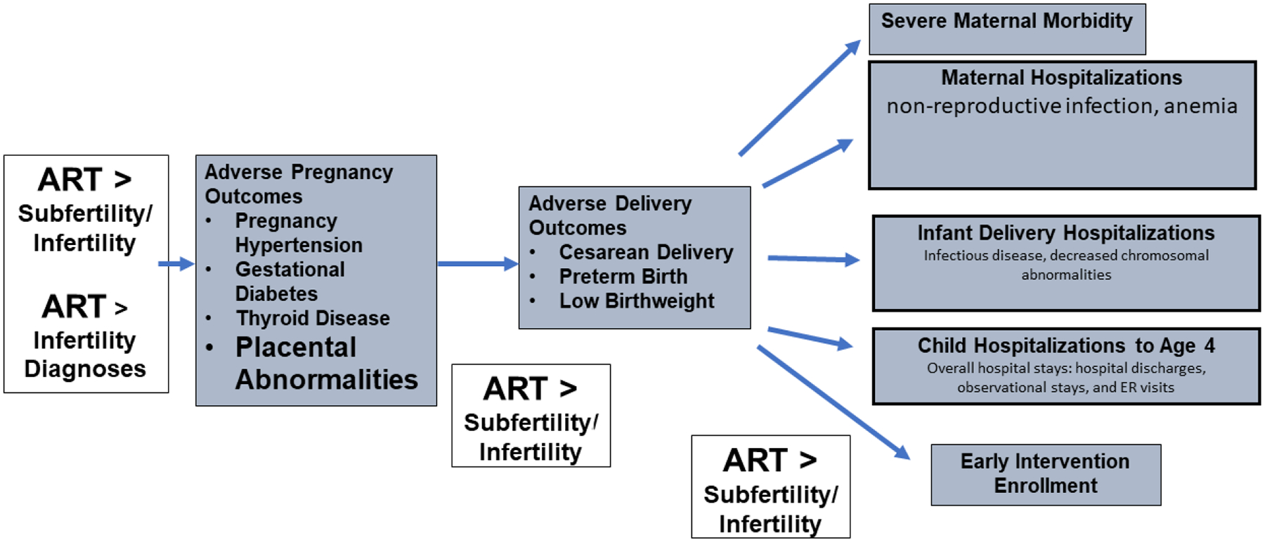 Figure 2b: