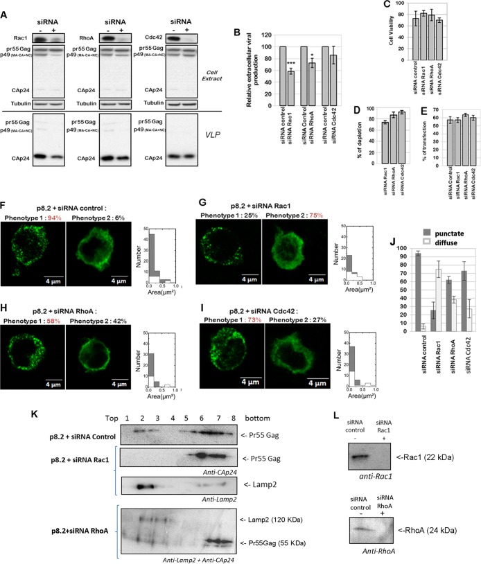 FIG 1