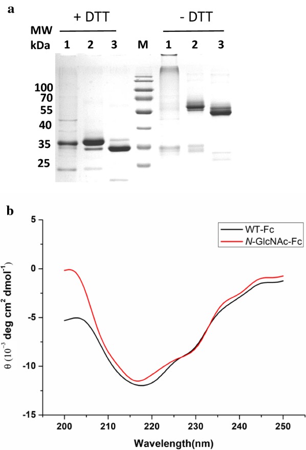 Fig. 4