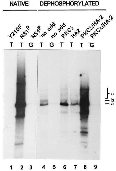 FIG. 7