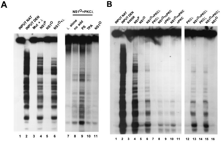 FIG. 6