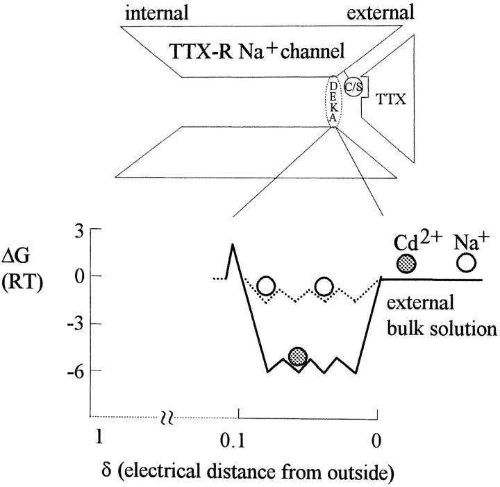 Figure 9. 