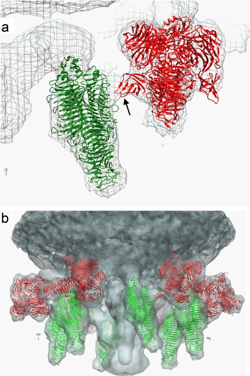 FIGURE 2.