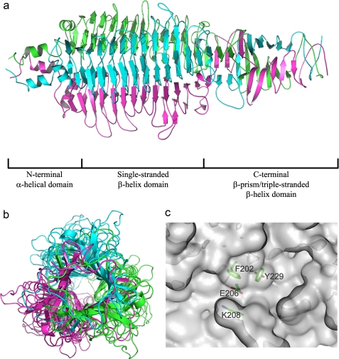 FIGURE 1.