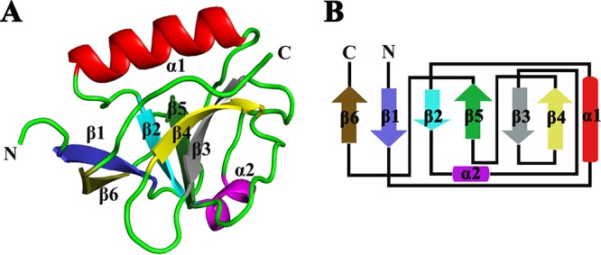 FIG 1