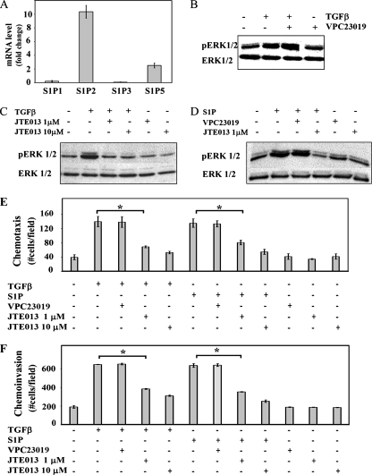 FIG. 8.