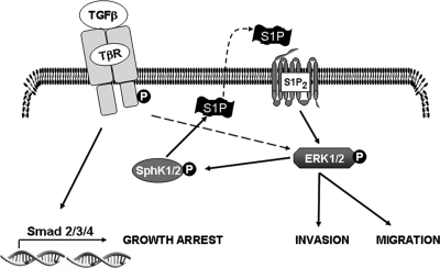 FIG. 10.