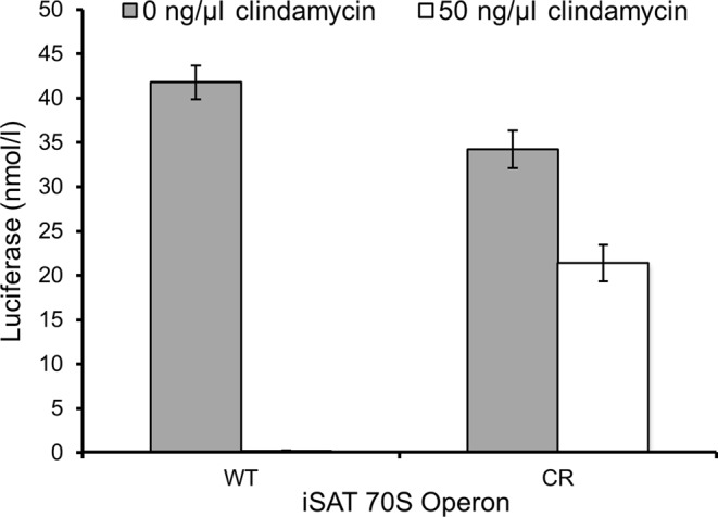 Figure 5.