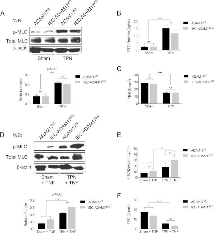 FIG 6