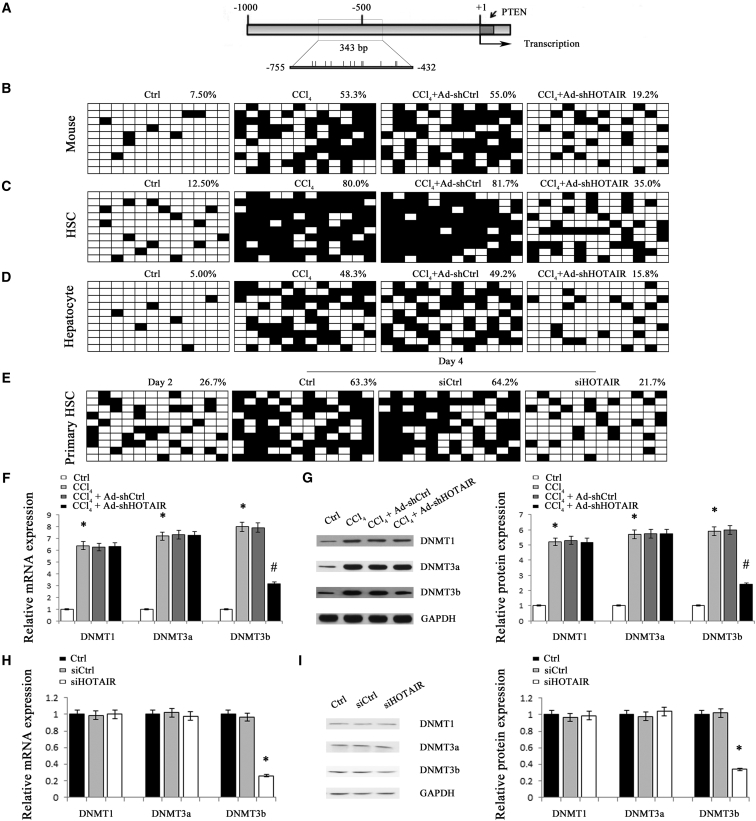 Figure 5