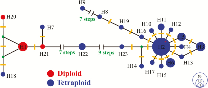 Figure 4.