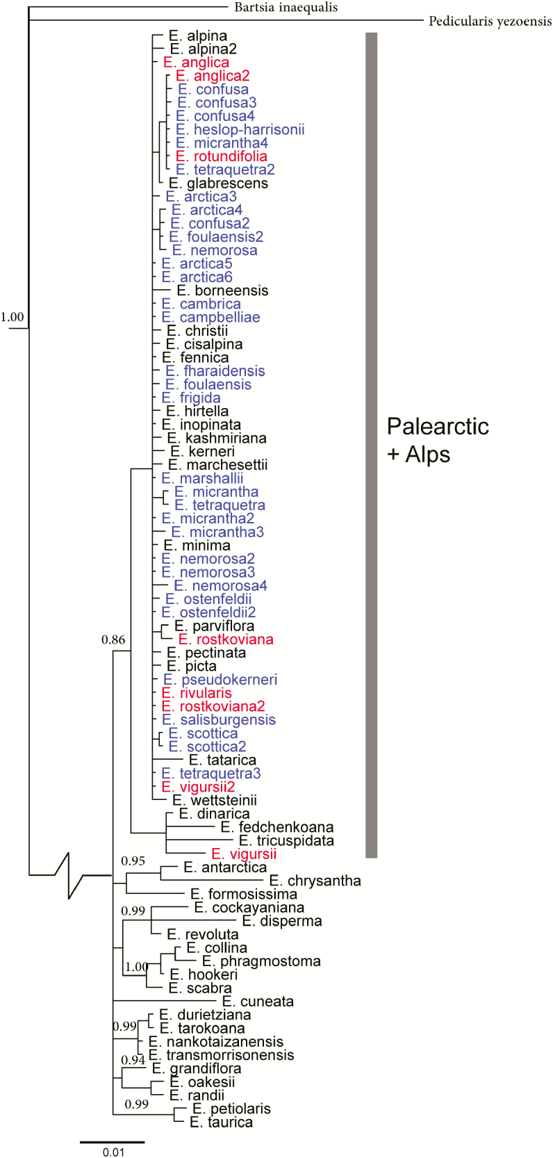 Figure 3.