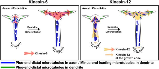 Figure 13.