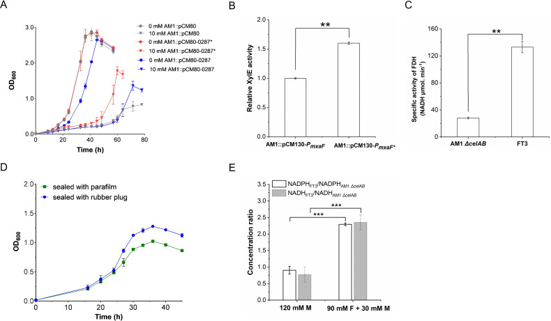Growth curves of AM1 strains with different plasmids and conditions, XylE reporter activity, FDH enzyme activity, growth under sealing methods, and NADPH/NADH ratios under carbon sources.