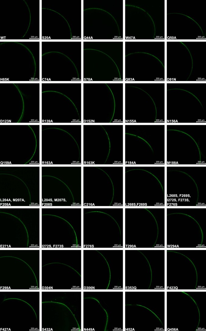 Extended Data Fig. 9