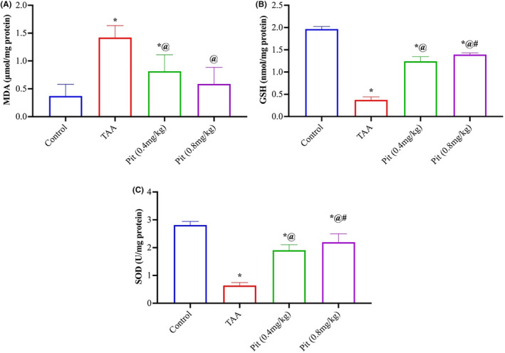 FIGURE 2