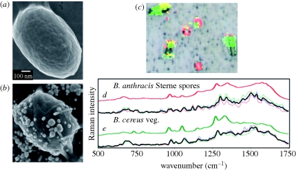 Figure 6.