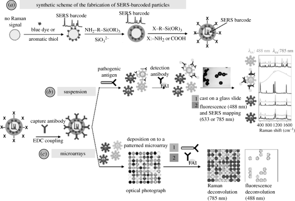 Figure 7.