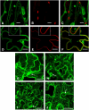 Figure 6.