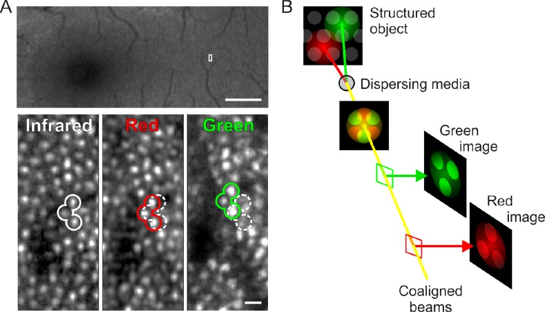 Fig. 3