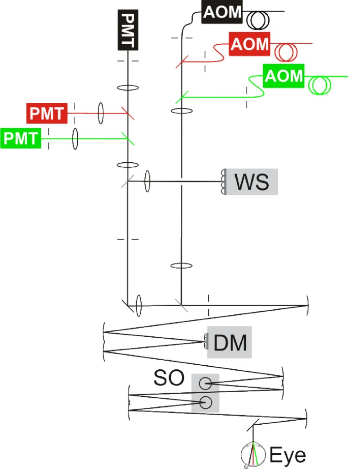 Fig. 2