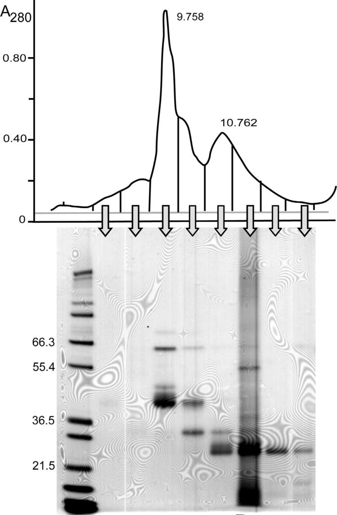 Fig. 2