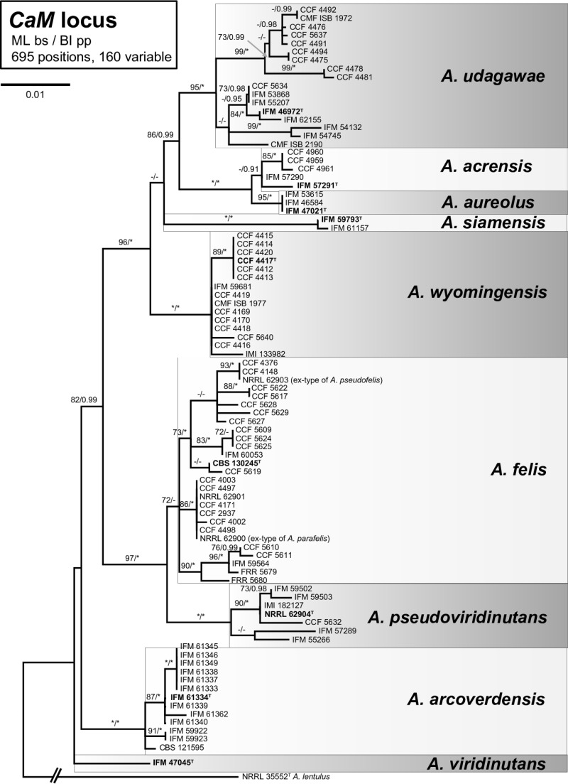 FIG 1