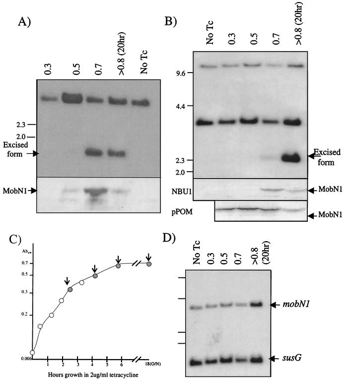 FIG. 5