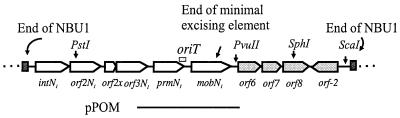 FIG. 1