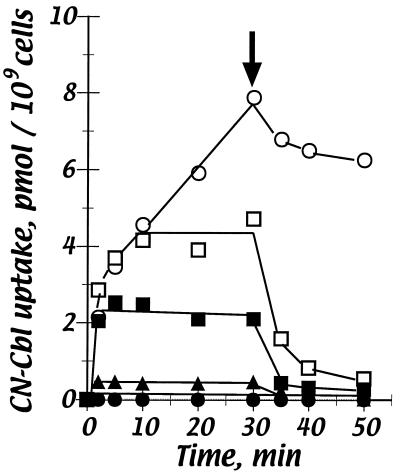 FIG. 5.