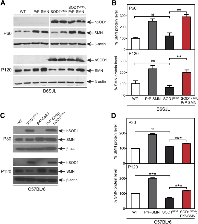 Fig. 4