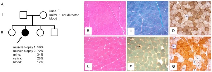 Fig. 2