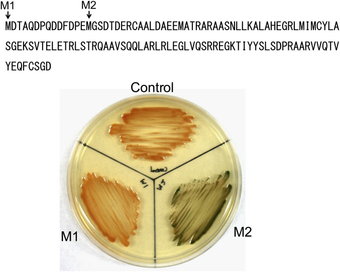 Fig. S5.